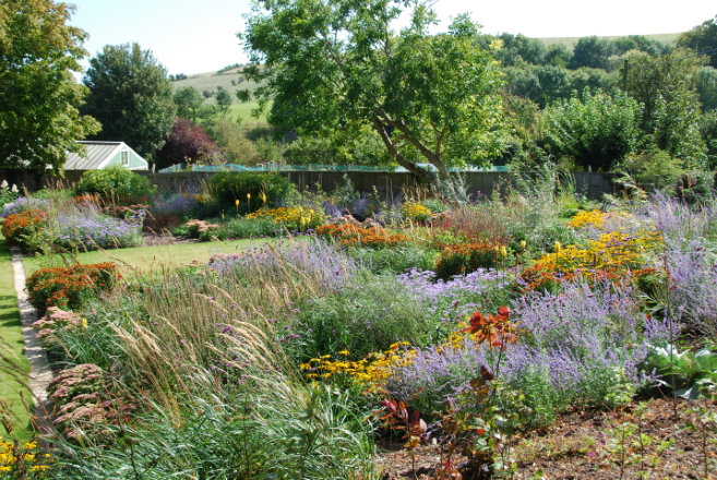 Naturalistic planting soon after planting – Sussex